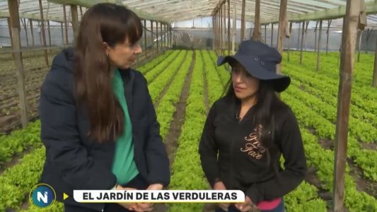 El jardín de las verduleras