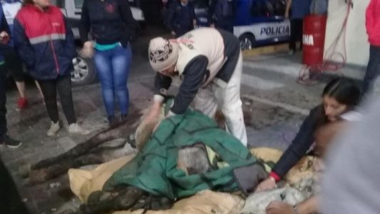Córdoba: vecinos salvaron a un caballo desnutrido que se desplomó en la calle