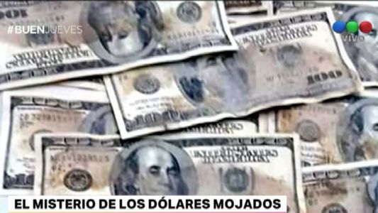 El misterio de los dólares mojados
