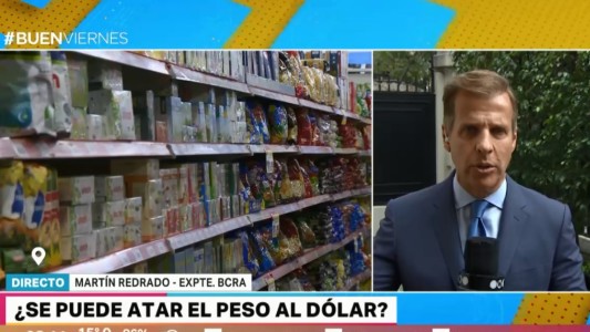 ¿Nueva convertibilidad? "No hay atajos en política económica", cuestionó Martín Redrado