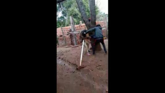 Video escalofriante: filmaron una brutal golpiza de un hombre a su pareja