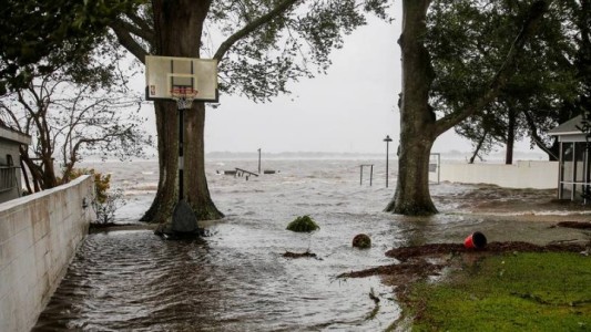 La furia del huracán Florence: filman a delfines nadando entre las casas