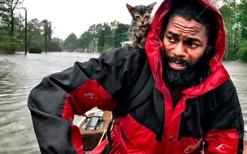 La furia del huracán Florence: la foto viral del hombre que es rescatado junto a su gatito