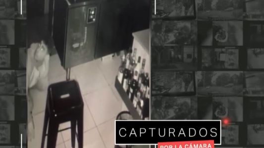 La Plata: el ladrón que gatea