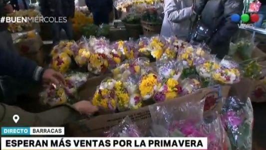 Esperan más ventas de flores por la primavera