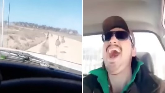 Se grabó riendo mientras atropella animales