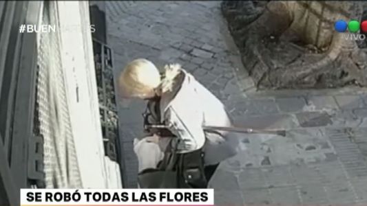 Video: la vecina de Palermo que se robó todas las flores