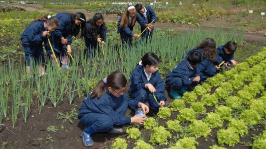 Todas las escuelas de Misiones deberán tener huertas orgánicas