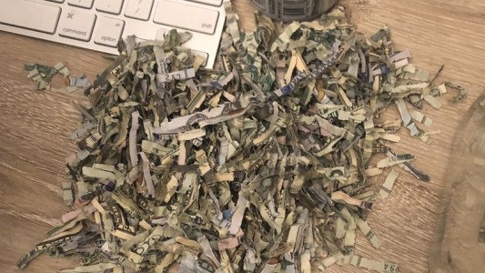 El caso del nene que trituró los ahorros de su familia