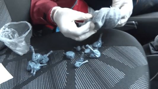 Detuvieron a 31 dealers por vender drogas cerca de una fiesta electrónica