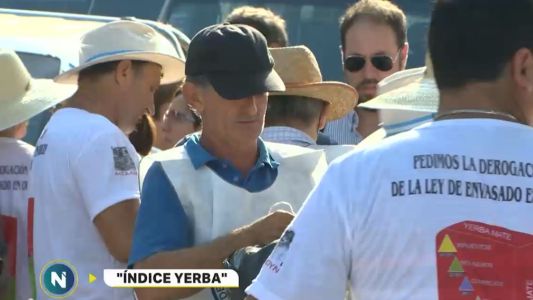 Acampe y marcha de tareferos