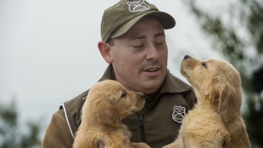 Policía de Chile entrena cachorros desde el día de su nacimiento