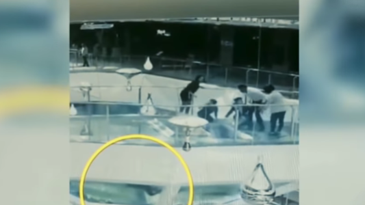Video de terror: una mujer cayó a un tanque de tiburones cuando iban a ser alimentados