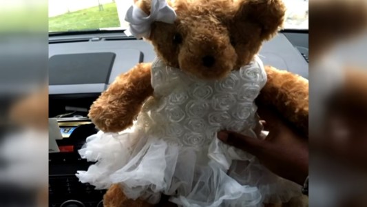 Conmovedor pedido de una madre a quien le robó oso de peluche con las cenizas de su hija