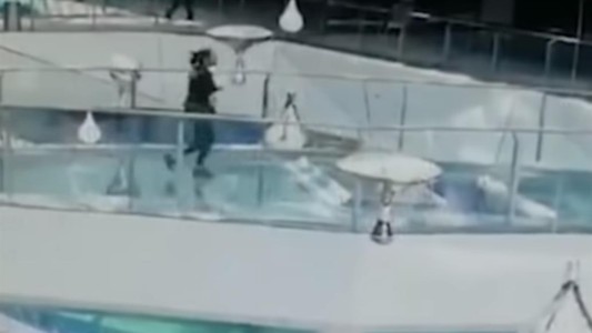 Video: el momento en el que una mujer tropieza y cae en un estanque lleno de tiburones