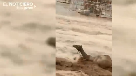 Temporal en el desierto