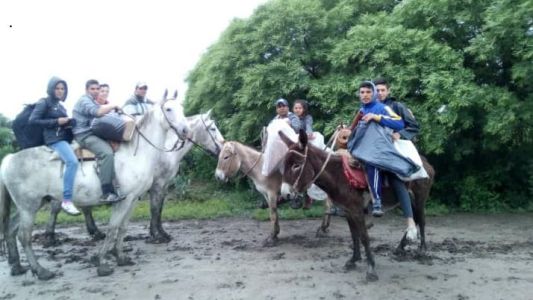 Recorrieron 25 kilómetros a caballo para asistir a una Feria de Ciencias, en la que ganaron