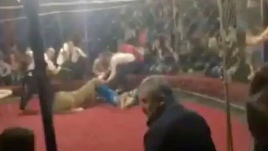Video escalofriante: el momento que una leona ataca a una nena de 4 años en un circo ruso