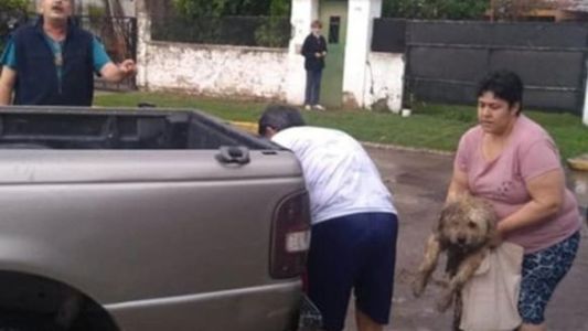 Rescataron a  un perro que iba atado en el paragolpes de una camioneta en Rosario