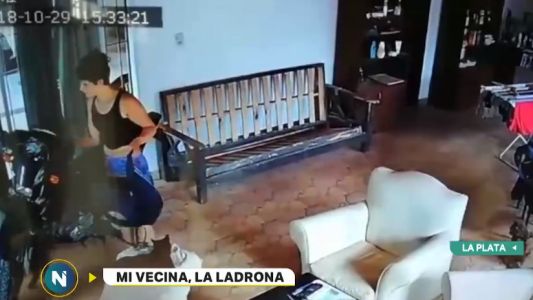 Robo a la vecina: puso una cámara y se llevó la desagradable sorpresa