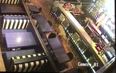 Cliente inesperado: un ciervo apareció en un bar de Rosario