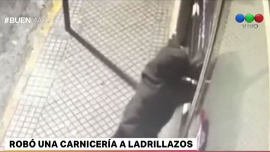 Robó una carnicería a ladrillazos