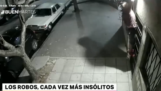Videos de los robos más insólitos