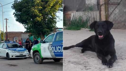 Perro halló un feto muerto en una plaza y se lo llevó a su dueño