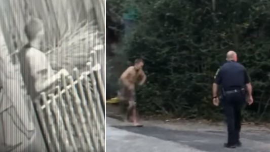 Se coló en un zoo y quiso nadar con cocodrilos: terminó mordido y preso