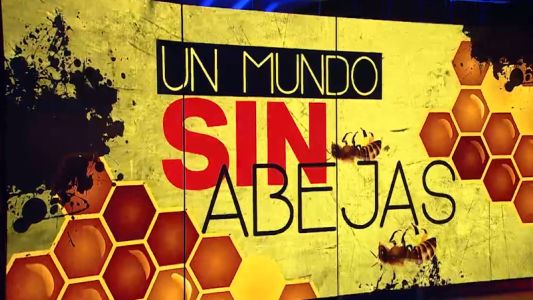 Telefe Noticias / Bloque 3 / 09/11/2018