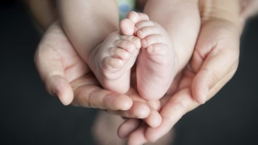 La Justicia reconoció a dos mujeres como madres de un hijo nacido por "fertilización casera"