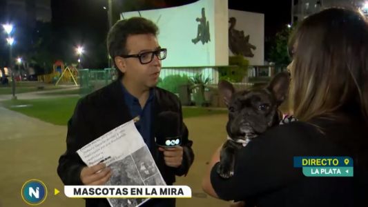 Le robaron el perro y le pidieron rescate por WhatsApp