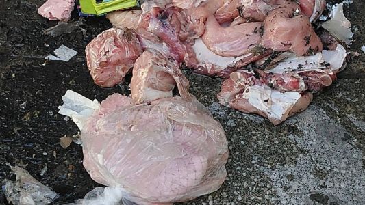 Hicieron detonar una cartera sospechosa a metros del Alto Palermo: tenía pollo crudo