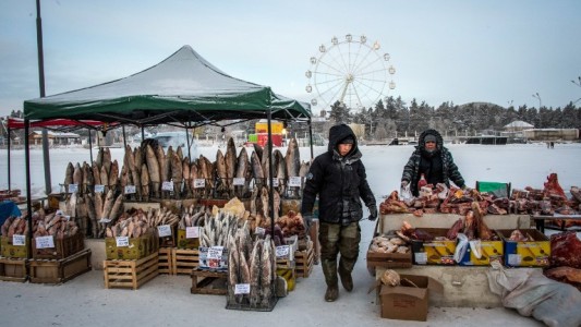 Un mercado abierto, a 35 grados bajo cero
