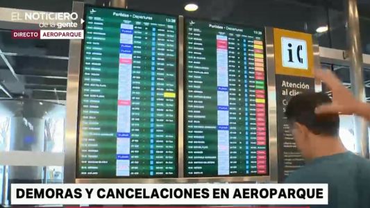 Dietrich: "Hubo otro paro disfrazado en Aerolíneas Argentinas"