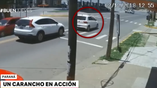 Video: un carancho en acción
