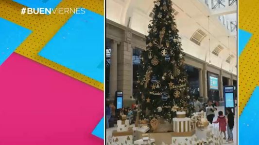 La estación de Retiro ya tiene arbolito