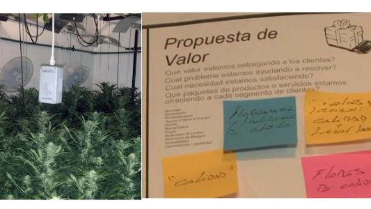Cayó "El Rey de las Flores", líder de banda narco que operaba en fiestas electrónicas