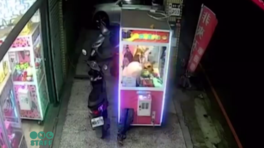 Un ladrón se metió adentro de una máquina de peluches para robarse uno