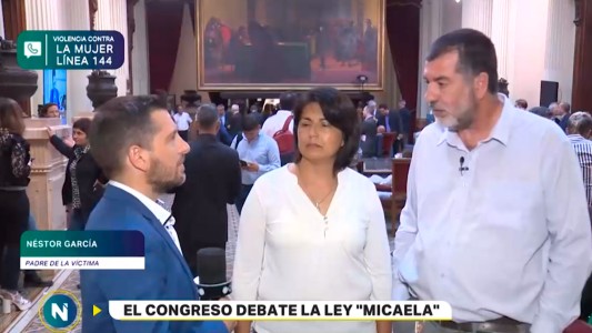 El Congreso debate la "Ley Micaela"