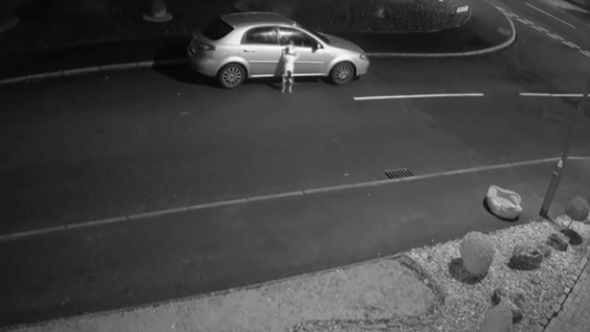 Qué cruel: abandonó a su perro en la calle y el animal lo persiguió, intentando detener el auto