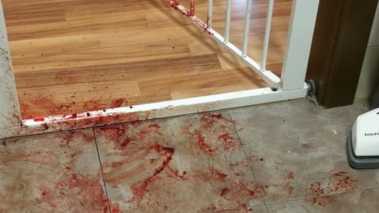 Tristísimo: el viral que muestra la desesperación de una perra, asustada por la pirotecnia