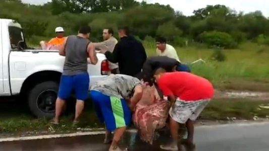 Robaron carne de un camión que había volcado y se intoxicaron