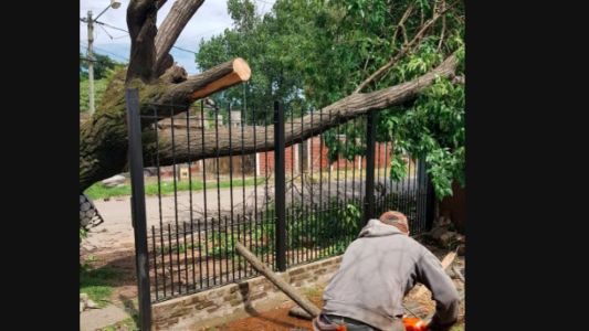 Temporal: cayó una antena gigante en Avellaneda y decenas de árboles en Capital