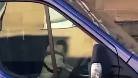 Video: perro impaciente toca la bocina de un camión