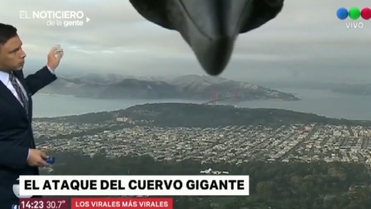 Los virales más virales del 2018