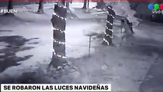 Vandalismo navideño: arrancó las luces ornamentales y quedó registrado