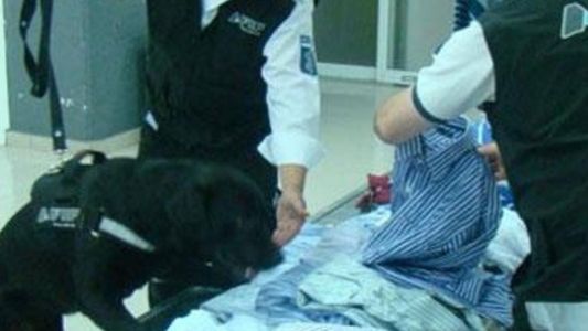 Viajaban a Punta del Este con ropa impregnada en cocaína