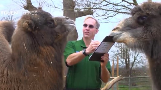 Censo en el zoológico