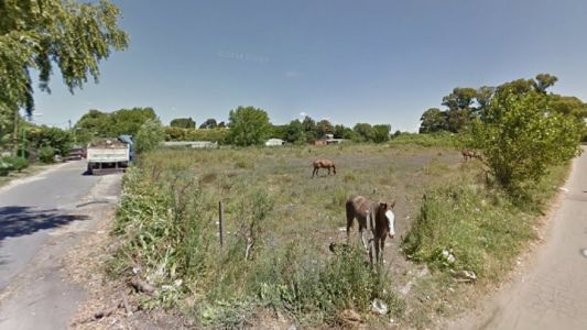 Horror en La Plata: encontraron el cuerpo de un bebé en un terreno baldío
